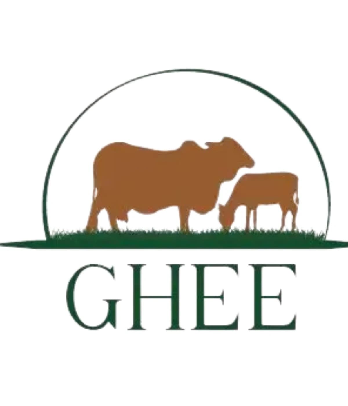 Ghee